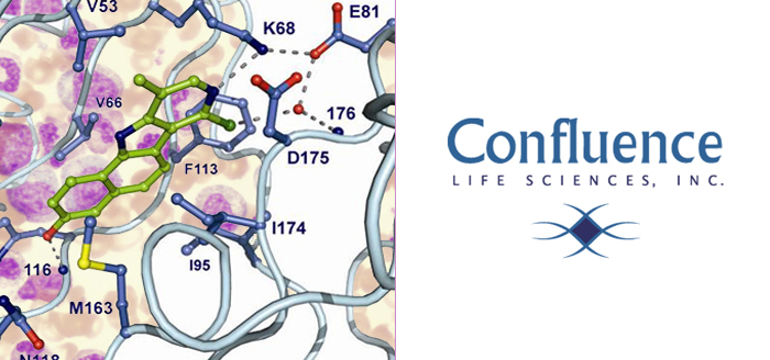 Featured slide image for Confluence raises 4M