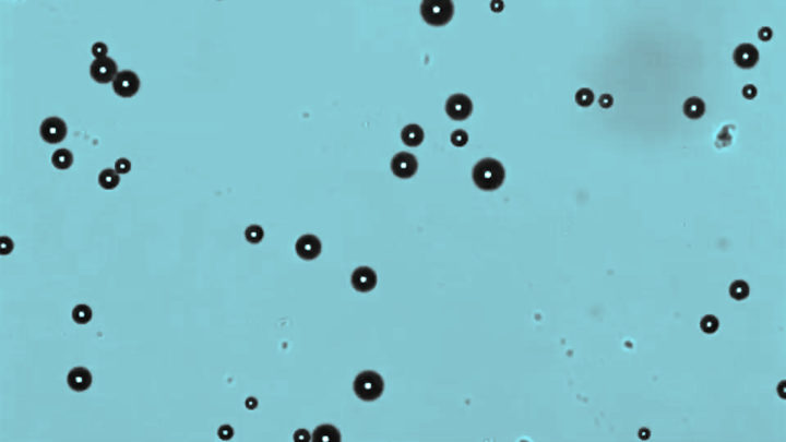 Akadeum's microbubbles are a new alternative for cell isolation